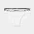 W' Script Brief - White
