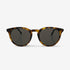 New Depp Tortoise Brown