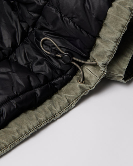 Darwin Takes Flight Jacket - Green