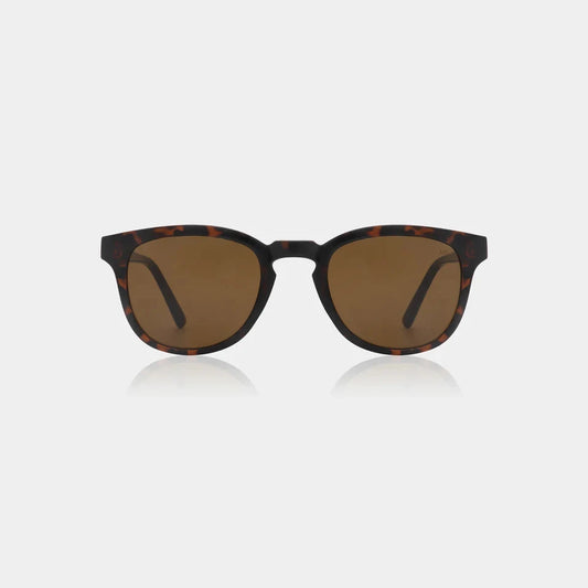 Bate Sunglasses - Demi Tortoise