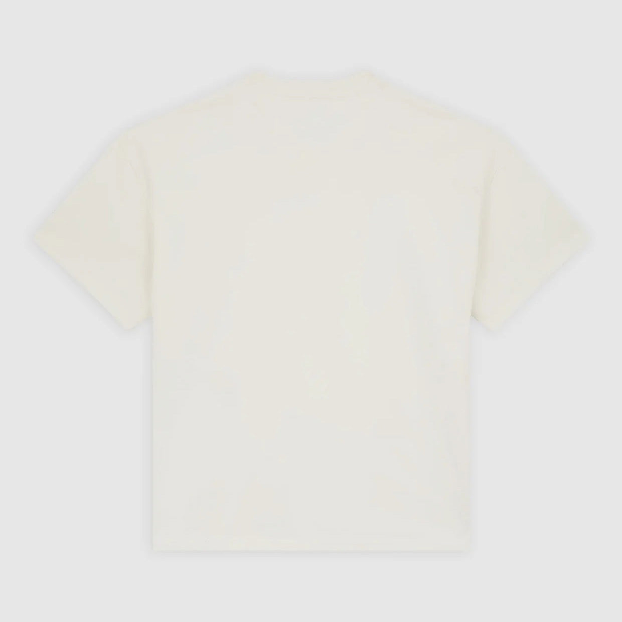 Mineral Heavyweight SS Tee - Egret