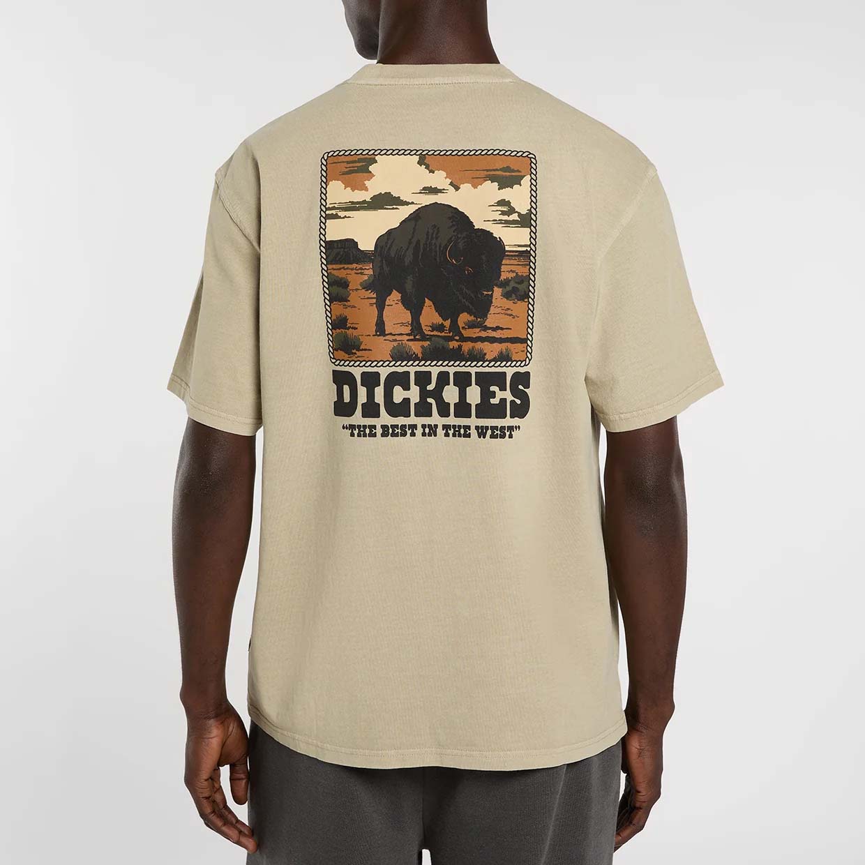 Darrtown SS Tee - Eucalyptus